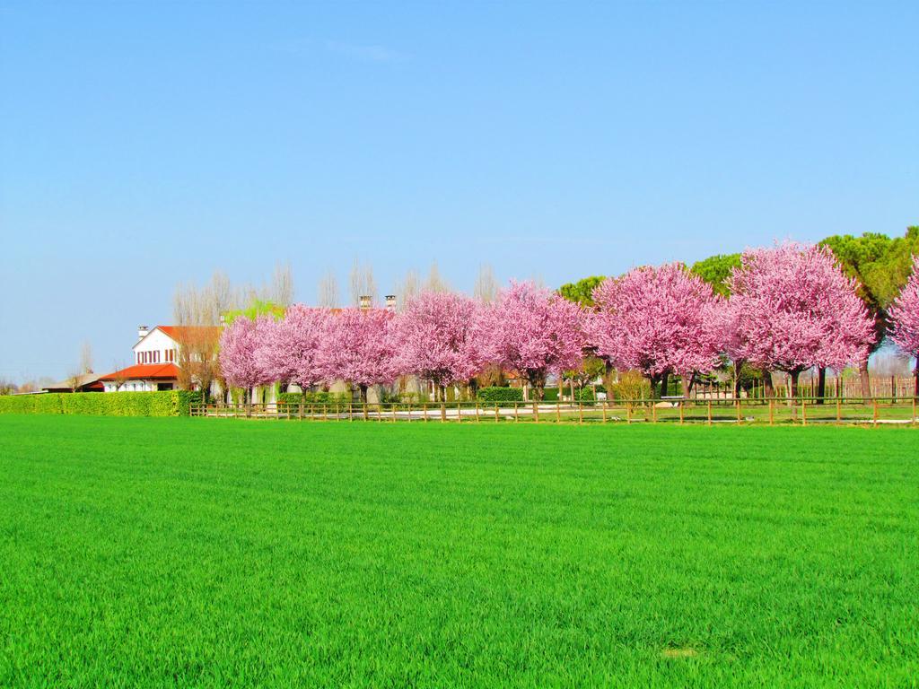 Agriturismo Le Cipressine Меоло Экстерьер фото