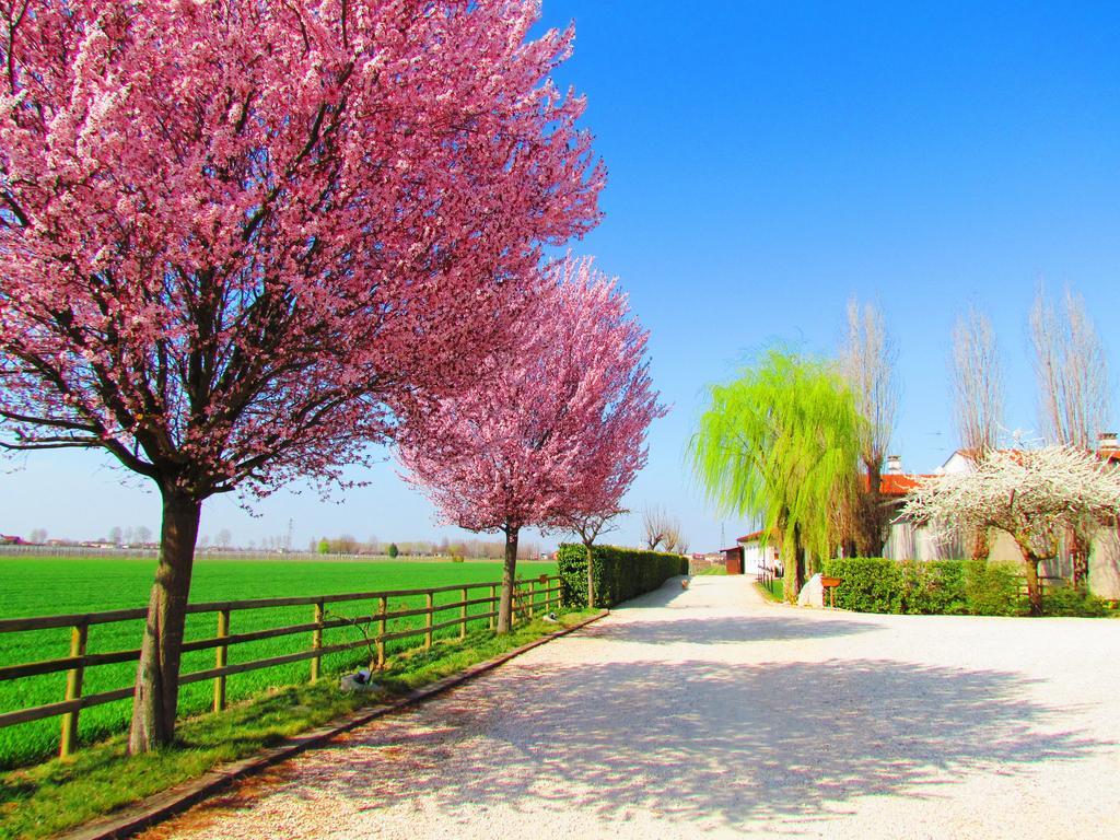 Agriturismo Le Cipressine Меоло Экстерьер фото