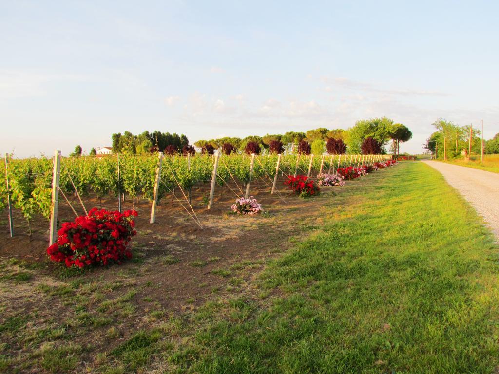 Agriturismo Le Cipressine Меоло Экстерьер фото